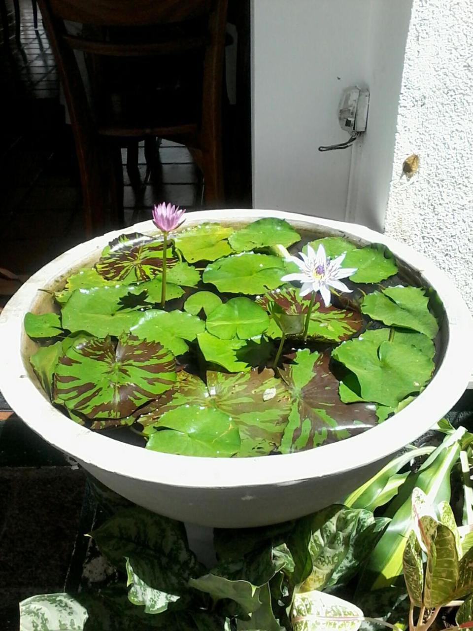 Secret Palace Guest House Galle Bagian luar foto